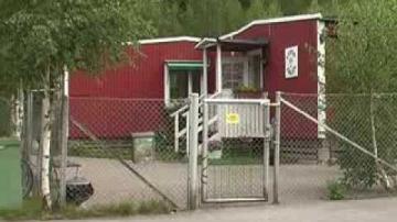 ÖKV Play - Hundar på dagis