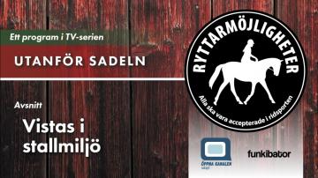 Utanför sadeln - Vistas i stallmiljö