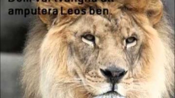 ÖKV Play - Sagan om Leo och DJ - En film av barn i klass tre på Bokelundskolan