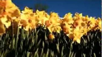 ÖKV Play - Växjö - En Naturfilm