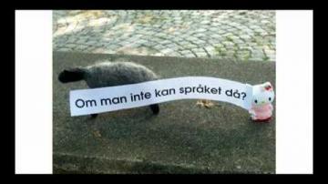 ÖKV Play: Vad är EVS?