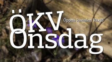 ÖKV Onsdag - Earth Week