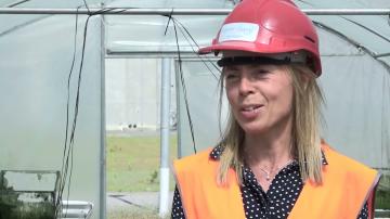 Algoland – om mikroalgers potential att rena vatten och luft